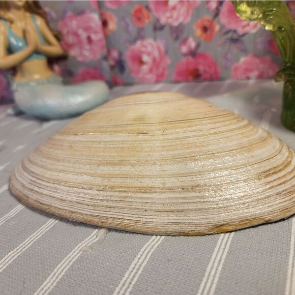 DECOUPAGE CLAM SHELL DECOUPAGE TRINKET DISH WITH FLOWERS - Picture 9 of 9